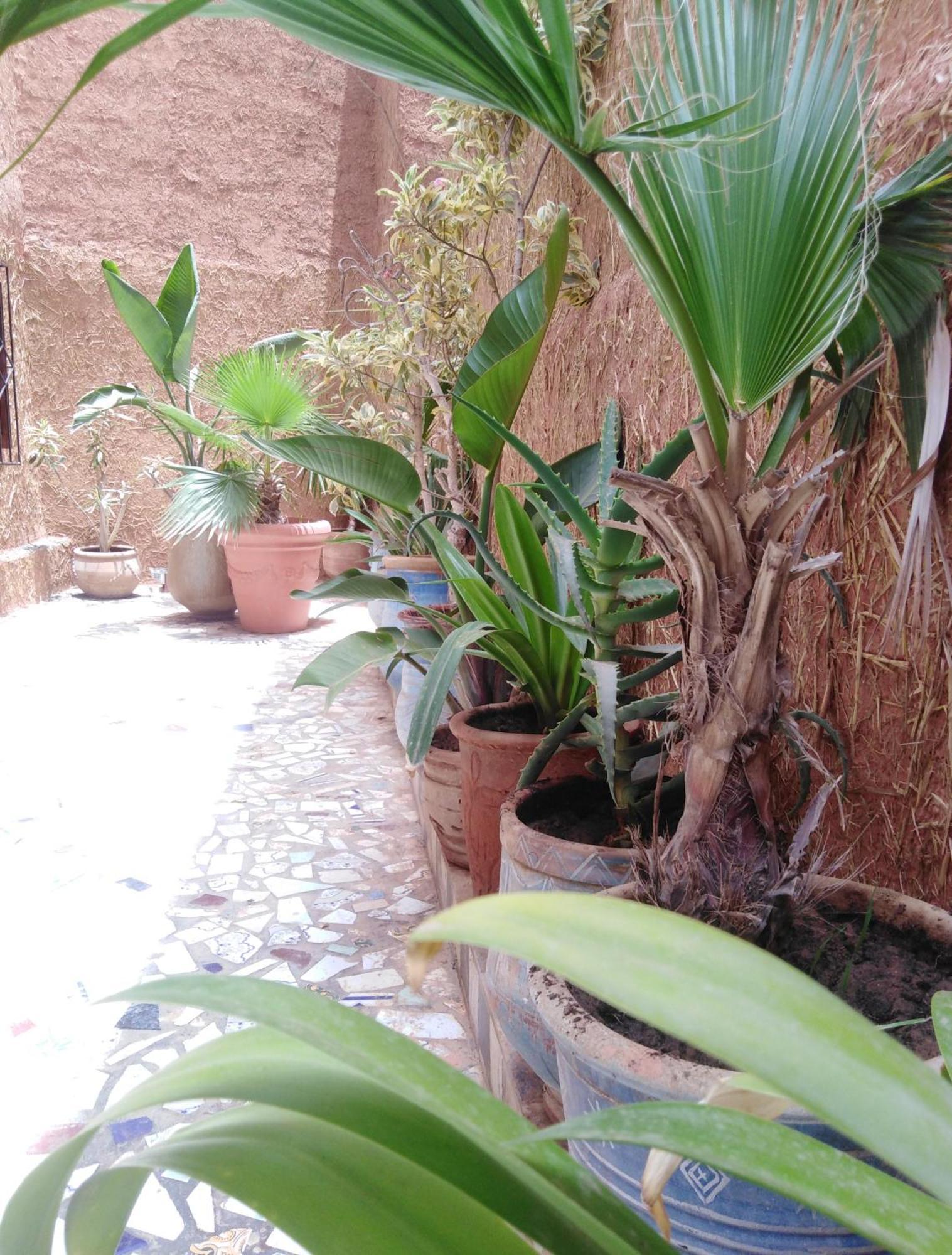 Mirleft Tayought Guest House Exterior foto